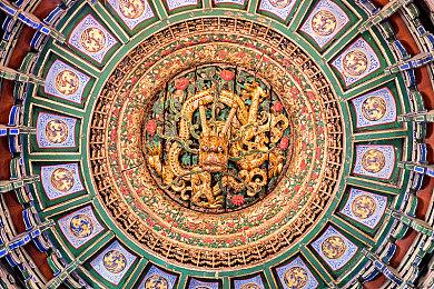 《海贼王：时光旅诗》“水之七岛”预告片分享